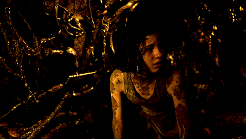 joewright:Academy Award Winners for Best Cinematography:2007 — Guillermo Navarro, ASCPan’s Labyrinth