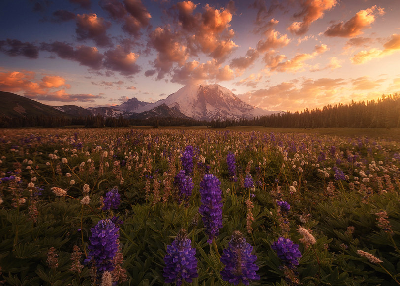 nubbsgalore:  photos by ryan dyar from the pacific northwest, who notes that the