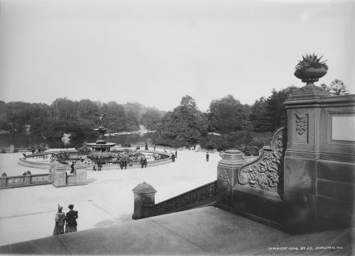 hyperallergic:  The Glass Plate Garden: Early Photographs of Central Park