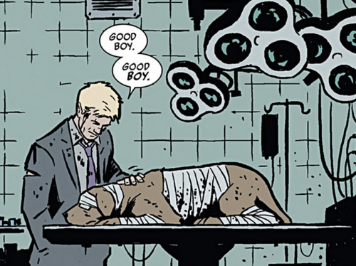 cuteandcubed: misterdiddums: First Post of 2014: A Man and His Dog.  I love the Hawkeye comics-