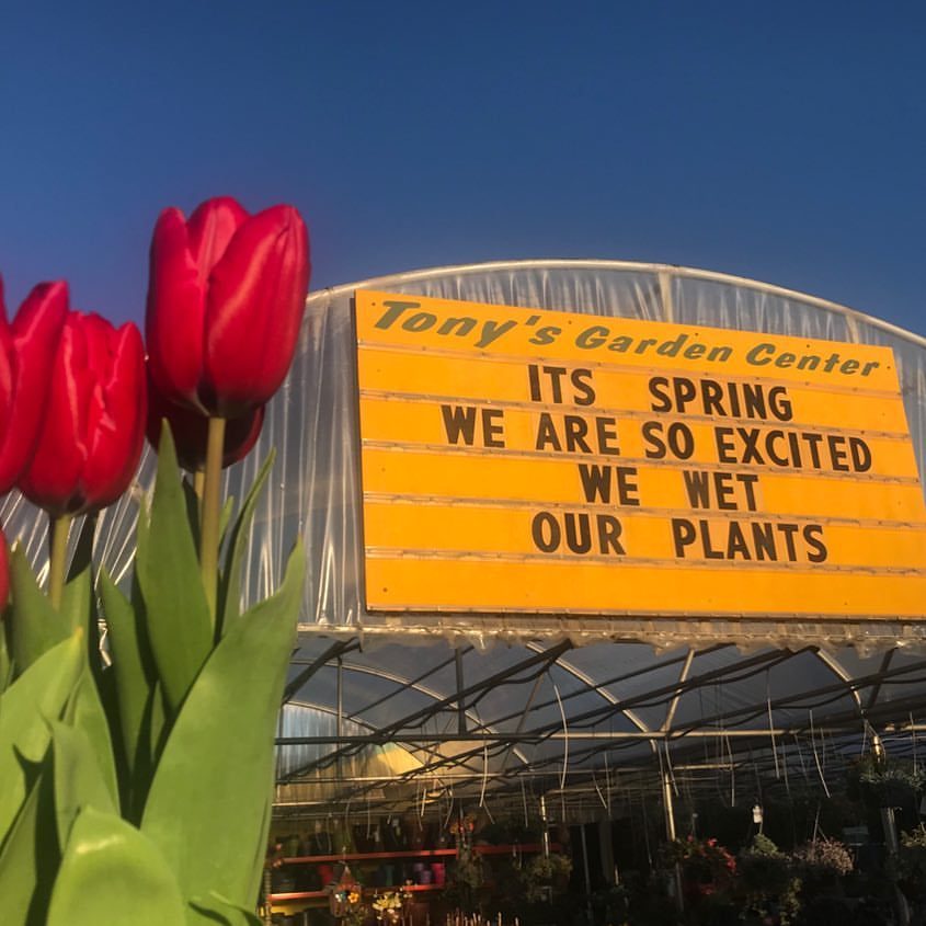 Tonys Garden Center Hours / Tony S Garden Center Tonysgardencen1