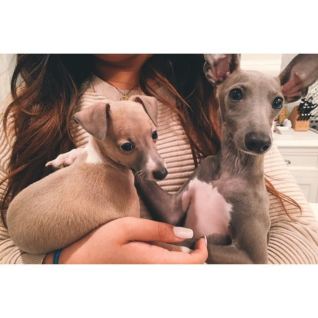 kyliejennerfashionstyle: kyliejenner - Norman meeting Bambi :) welcome to the family