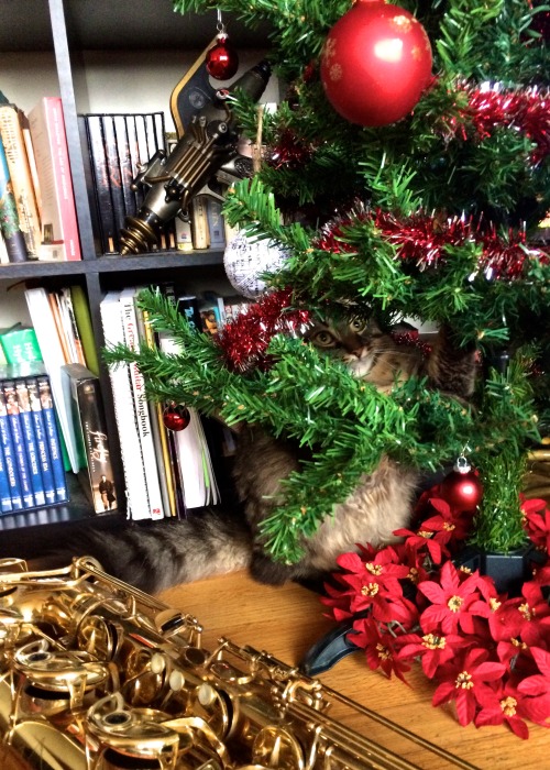 brassncats:Brokkr in tree. Baritone saxophone in front. 