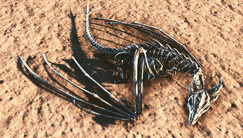 lady-of-cinder:↳The Elder Scrolls Online : Small Bone Dragon PetI love it so much! ♥