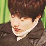 XXX kaiwaiisoo:   the lost penguin  Kyungsoo photo