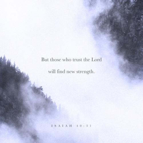 god-my-savior: christianwallpaper:“but those who hope in the LORD will renew their strength. T