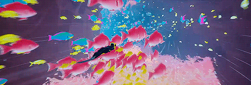 strategichomelanddivision:A B Z Û gifs [3/?]