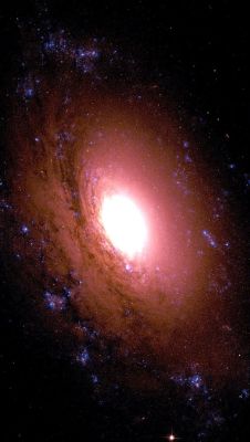 newlifeplease:  NGC 3169 A spiral galaxy