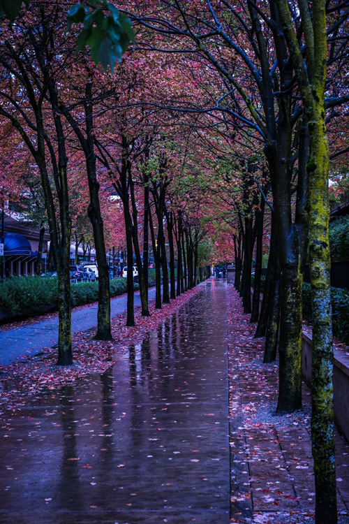 plasmatics-life:  Raining Days ~ By Mauricio R.