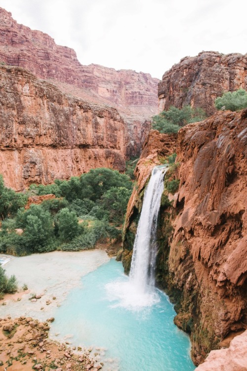 expressions-of-nature:Havasu Falls, Arizona by Cara Fuller