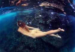 marisapapen:Morning dive