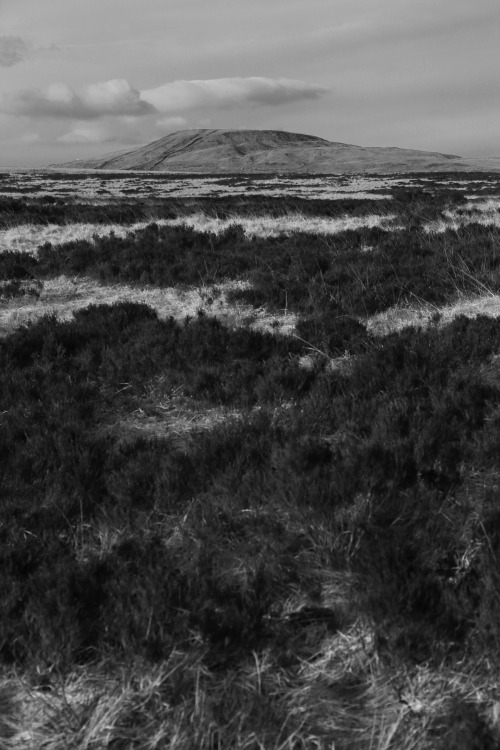 Knowl Hill, Ashworth Moor and Rooley Moor Images, referenced sites of archaeological excavations in 