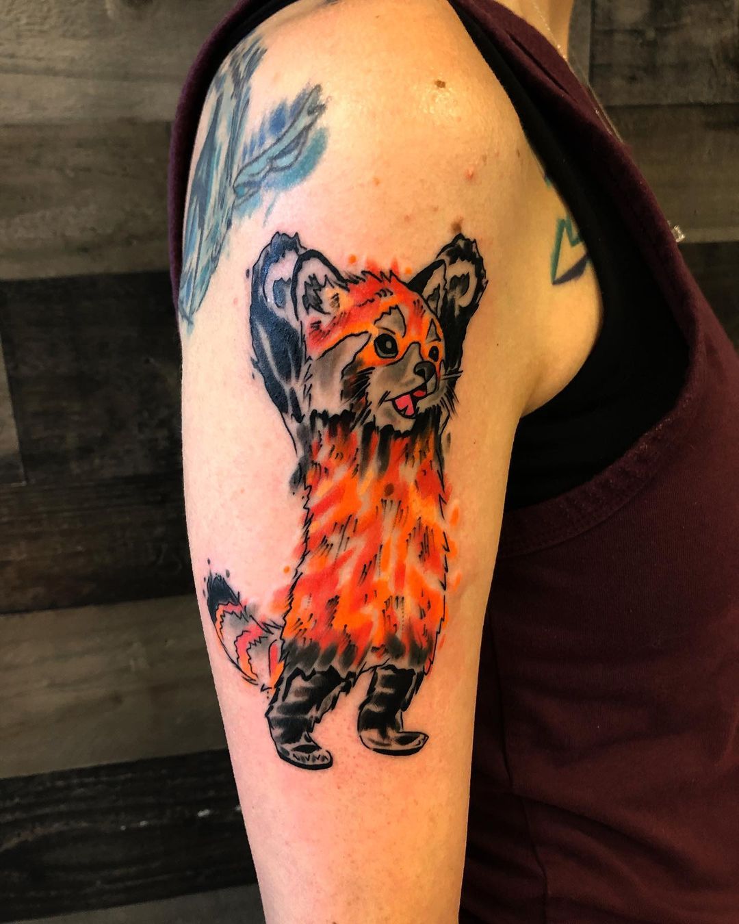 This is my red panda tattoo  rredpandas