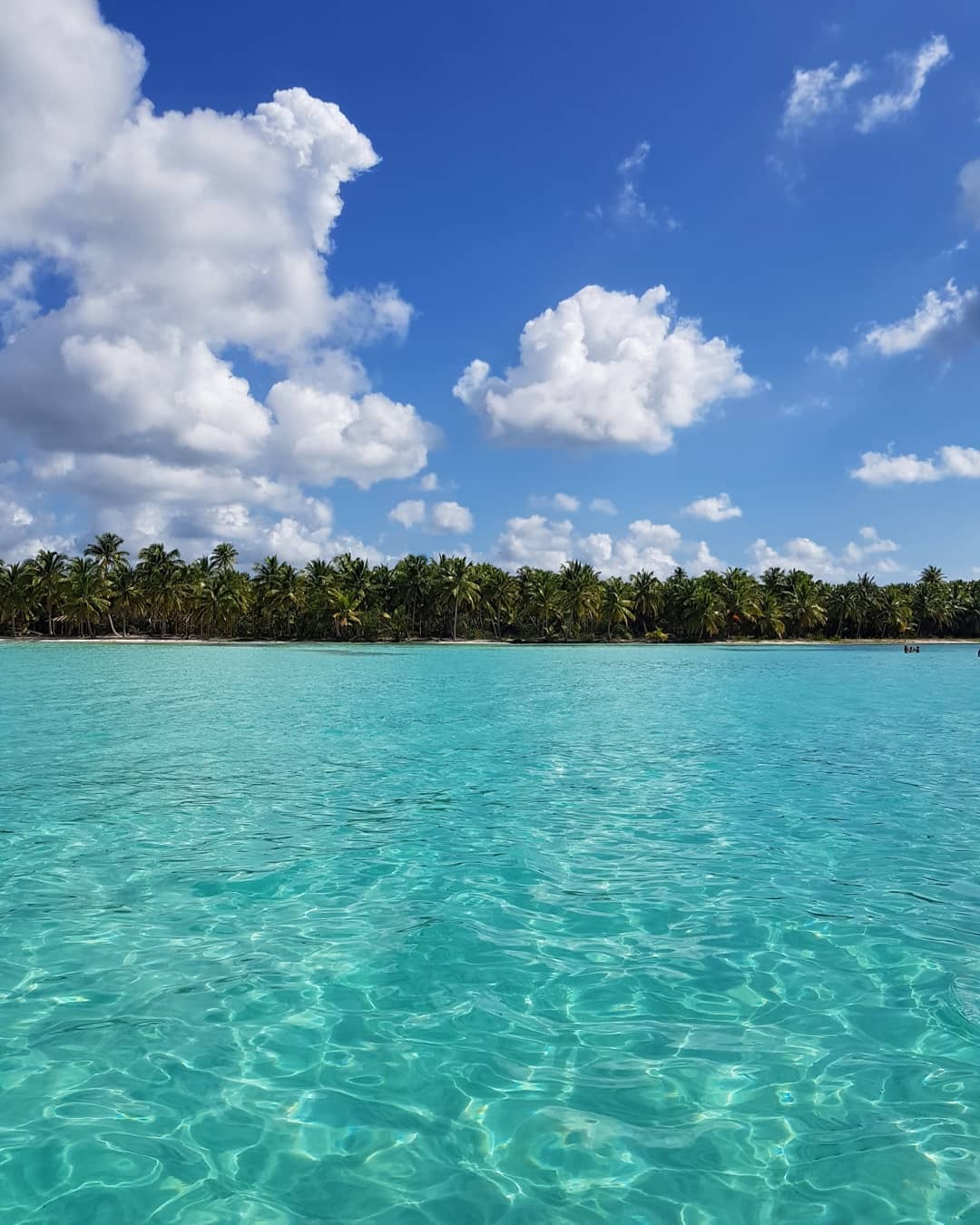 caribbeancrew:  Isla Saona, Dominican Republic 🇩🇴