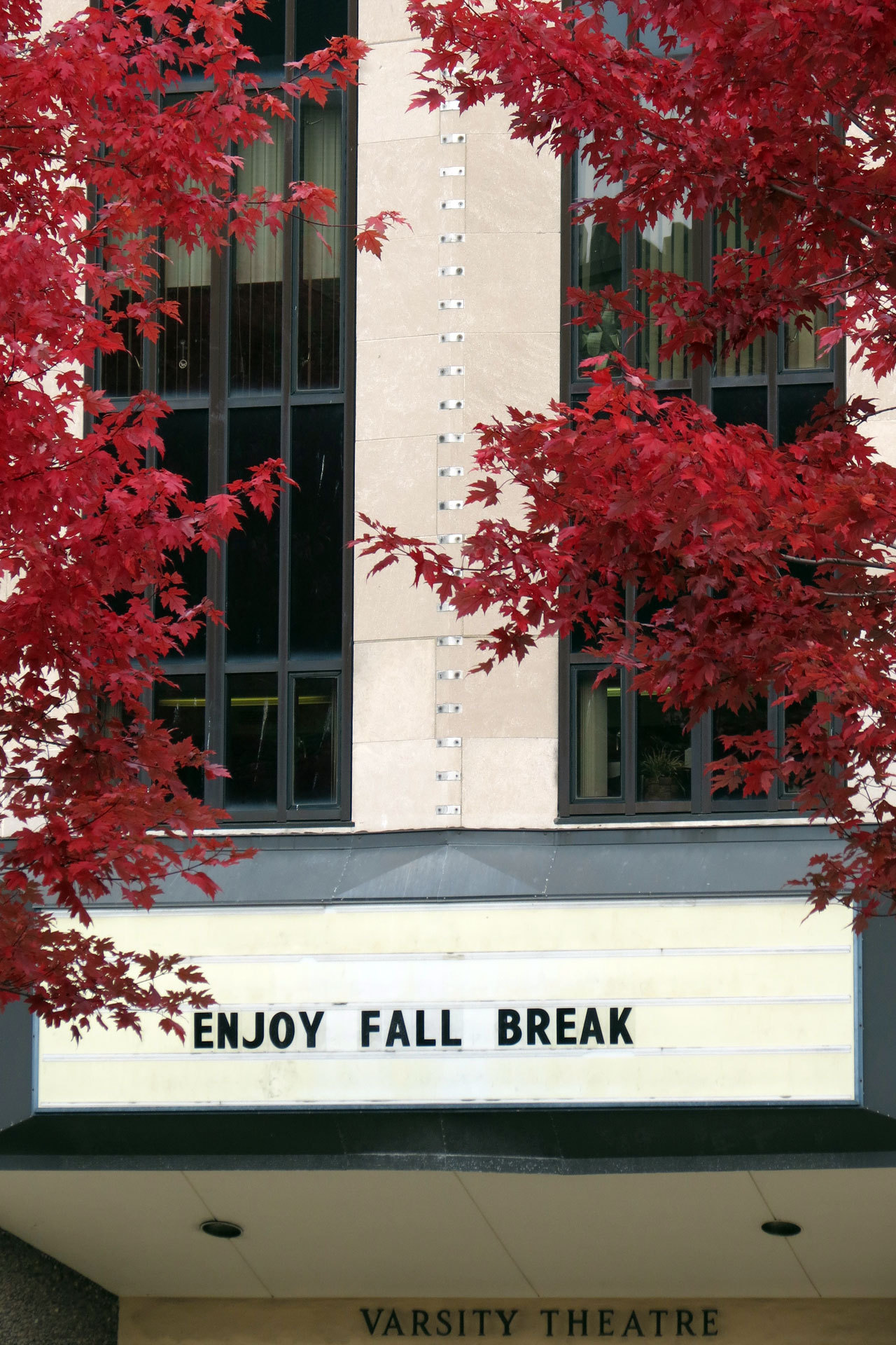 Enjoy fall break, Marquette! postmarq Postcards from Marquette