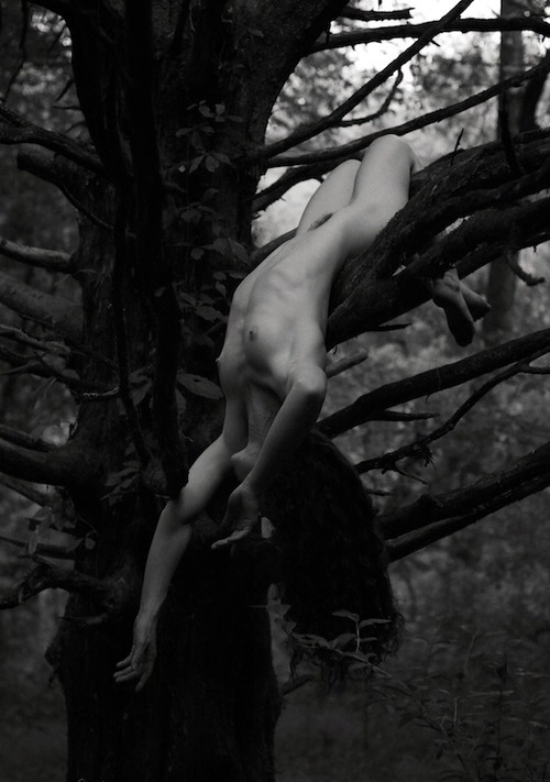 an-erotic-beheading: photography: Dan Smith