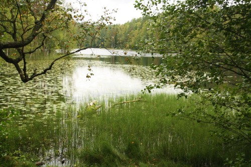 at Nuuksio National Park, EspooHabitat for elk and nocturnal flying squirrels, the Nuuksio National 