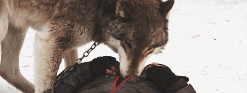 marielikestodraw:  nyenoi:  the bourne legacy behind the scenes  Well, finish me