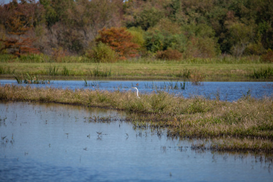 Spend a Weekend in Ridgeland, Mississippi