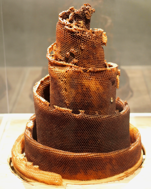 babelziggurat: Honeycomb in the shape of Mesopotamian ziggurat or tower of Babel. Photo by John Pitt