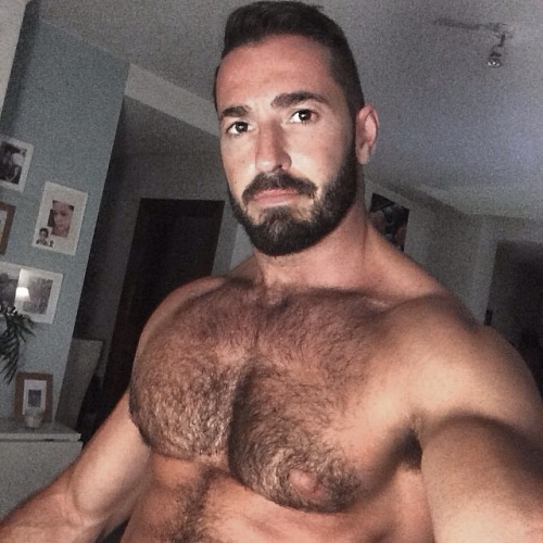 Bit of a bear, but more of a Muscle Cat.