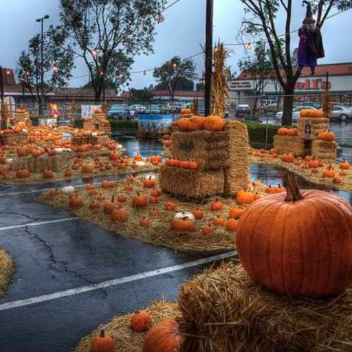 Current mood: Halloween af