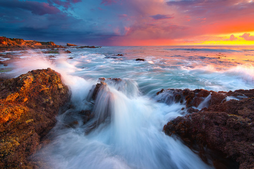 Corona Del Mar Beach, CA by Dara Lork on Flickr.