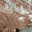 lullaby-sky