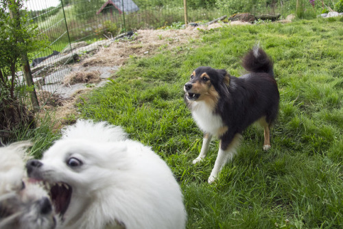 We Had A Play Date. Heres A Summary.