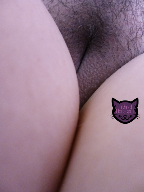 fishnethousepet:  Clips4sale | Clipvia | Manyvids | ChaturbateAlso, remember to vote for me daily in the #c4sbootyshake competition!! <3