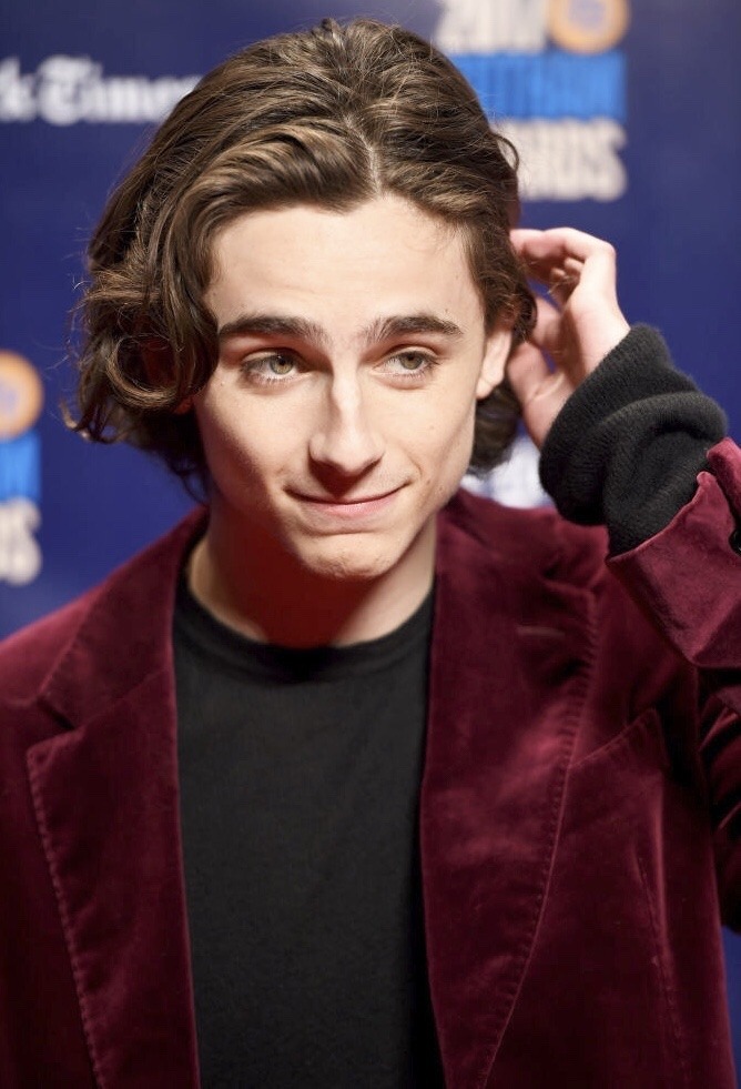 Lily-Rose Depp Daily — Part 4 of my Timothée Chalamet hair series