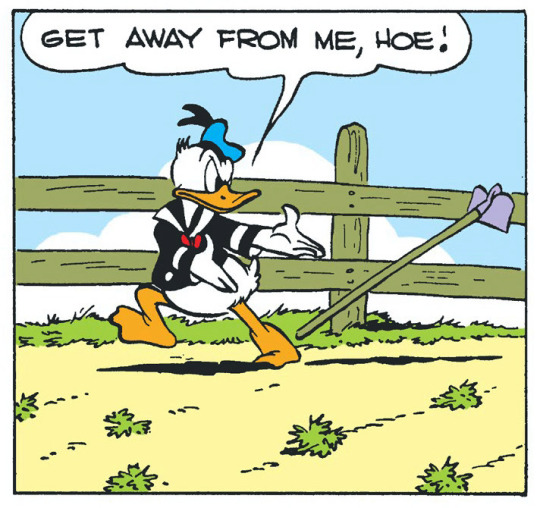 i-restuff:i-restuff:Out of Context Donald porn pictures