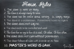 soxnties:House Rules for the slave…