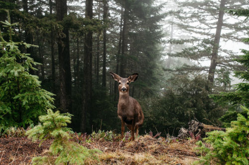 samelkinsphoto:  Today’s adventure with new friends.