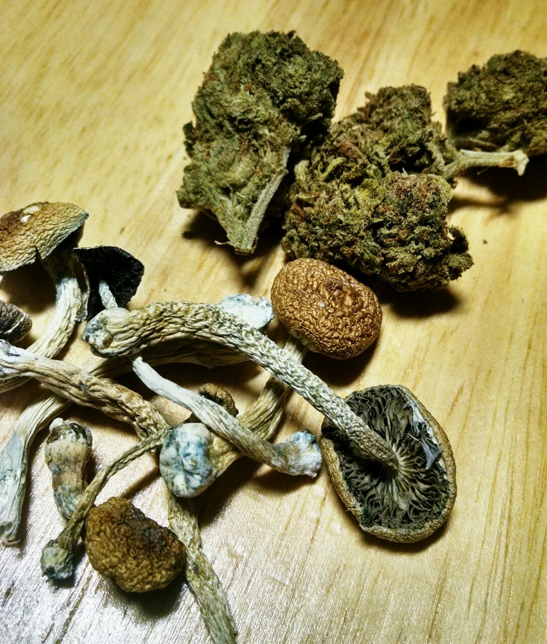 Kush so loud you can smell me coming