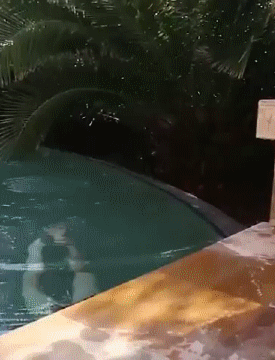 harnigsowns:  at least one new gif every second hour!visit my archive: https://harnigsowns.tumblr.com/