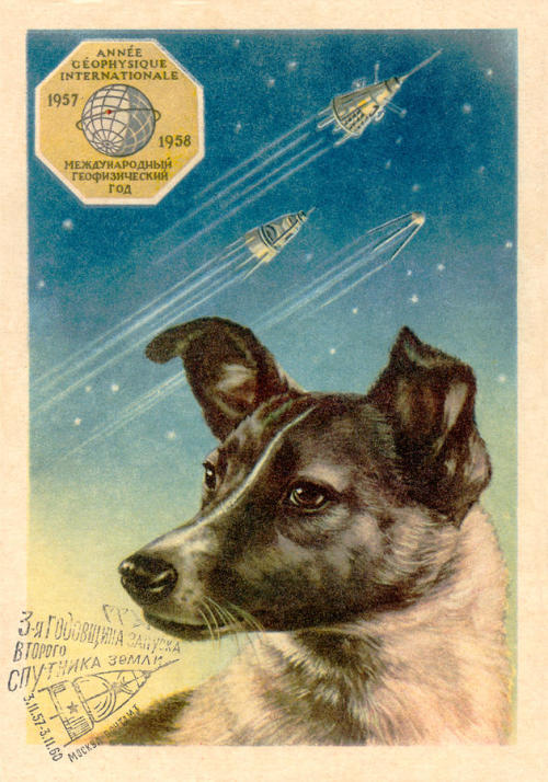 enrique262:Laika (Russian: Лайка; c. 1954 – November 3, 1957) was a Soviet space dog who became one 