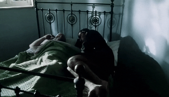 44349c7b6b3c77edb7db72ff0055d24423cf6457.gifv
