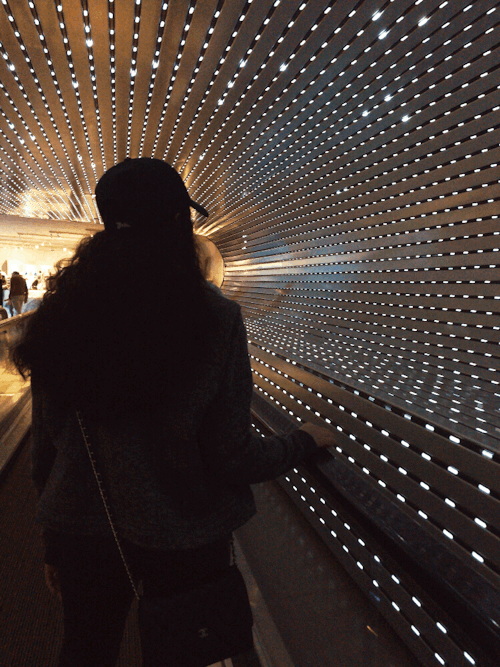 misss-ksa: It’s kind of walking on a dream… #sparklylights ✨