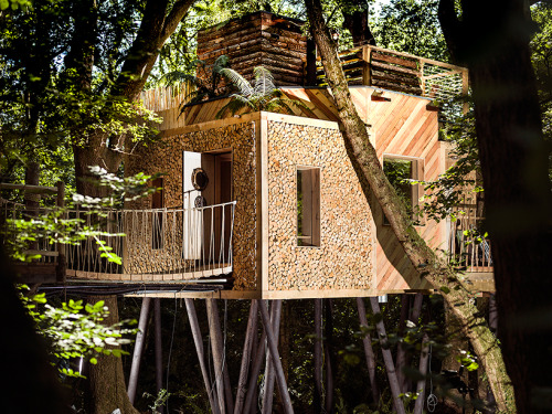 thedesigndome: Luxury Treehouse Hosts Modern Facilities Designed For Comfort The Woodman’s Tre