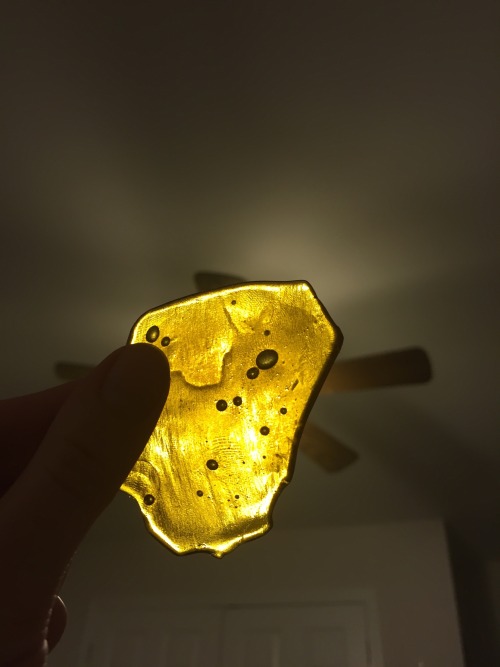 XXX CO2 wax>C4H10 wax. photo