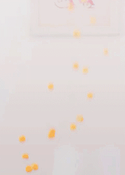 다로토끼 (◕〝◕)