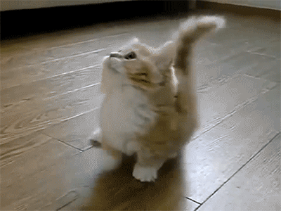 shuyofox:  me in an imax theatre  