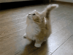 Shuyofox:  Me In An Imax Theatre  