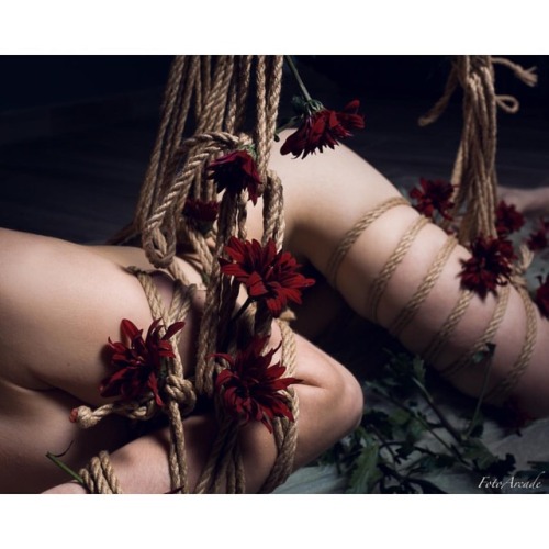fotoarcade:“It’s what’s in yourself that makes you happy or unhappy.” - Agatha Christie, A Murder is Announced.  Model: @artmodelbrookelynne #fotoarcade #shibari #shibari #flowers #jute #rope #modeling
