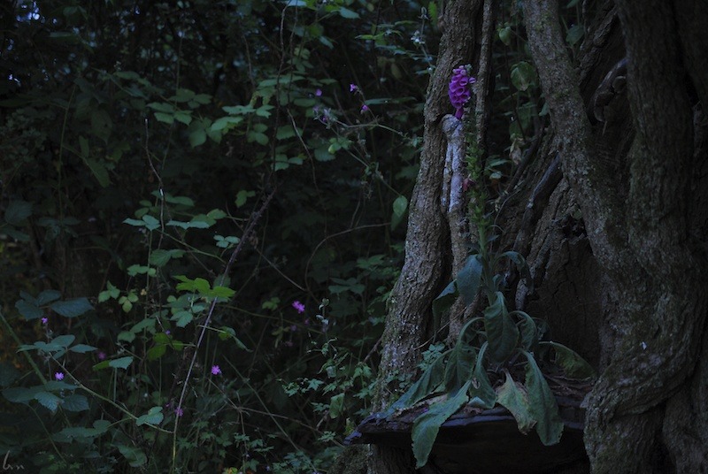 buron:  Today I went to a place that I have visited and photographed many times over