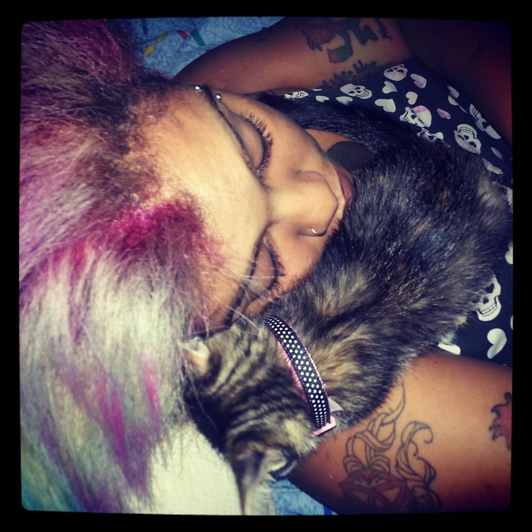 Kitty cuddles. #ellie #elliesocks #babygirl #kitty #kitten #cuddles #love #girlwithtattooes