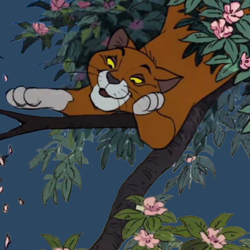 Voir un profil - Billie O'Malley Tumblr_n8ion5DZqp1slnn5ho6_500