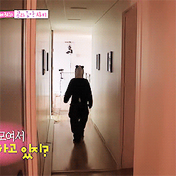 hooniyah:  panda, go!! 