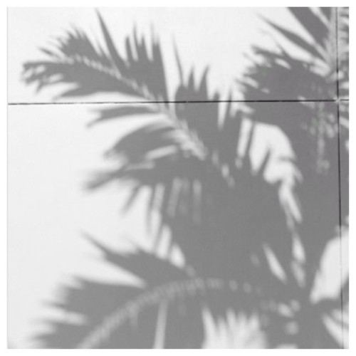 Shades ☼ #castaway  (at www.castawaylabel.com)